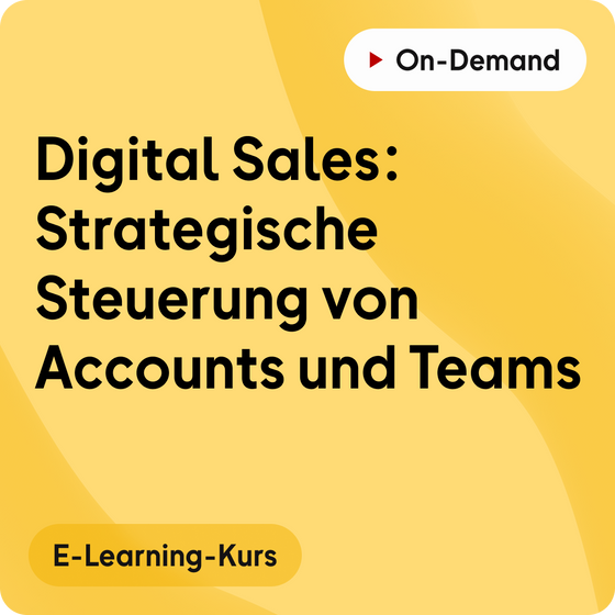 E-Learning-Kurs | Digital Sales: Strategische Steuerung von Accounts und Teams