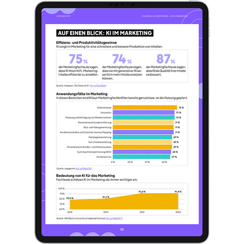 KI im Marketing – Professional Guide