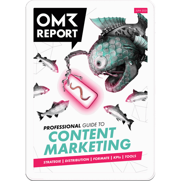 "Cover des 'Content Marketing – Professional Guide' OMR Reports, umfassender Leitfaden mit Expertenstrategien und Best Practices für effektives Content Marketing."