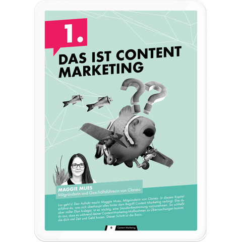OMR Report Content Marketing Seite 6