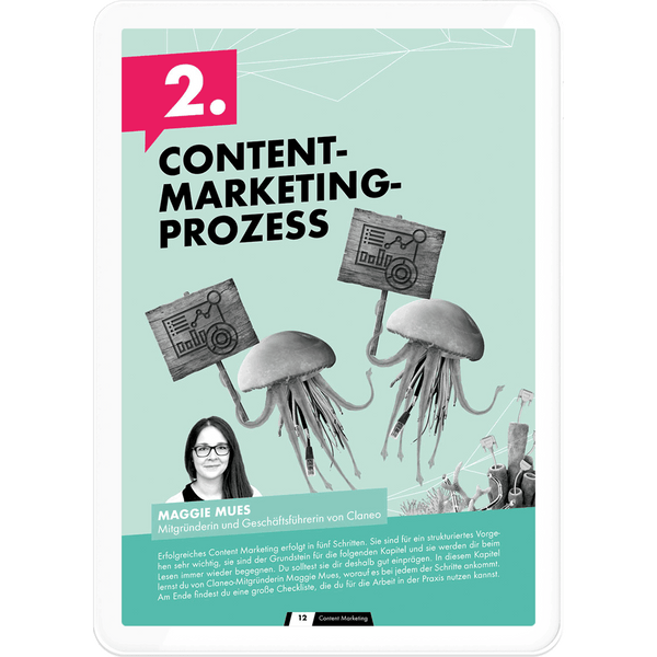 OMR Report Content Marketing Seite 12