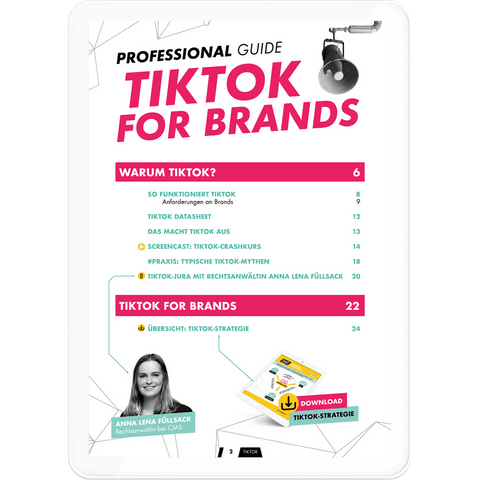 TikTok for Brands – Professional Guide