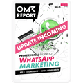 WhatsApp Marketing – Professional Guide